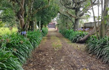 Vendo Quinta 8.241 m² Sangolquí