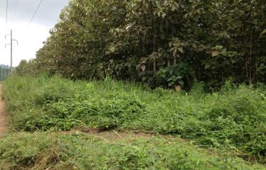 OPORTUNIDAD VENTA DE ISLA »»APROVECHE OFERTA»»»»»EN ESMERALDAS .. VENTA RAPIDA