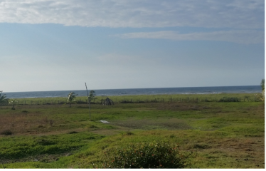 ¡Gran Oportunidad! Venta de Lote de Terreno en Cabuyal Se vende lote de terreno de 2 hectáreas ubicado en Cabuyal, con una ex