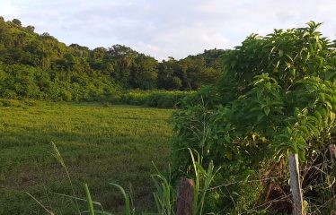 ¡GRAN OPORTUNIDAD! Lote de 14 hectáreas en venta 🌟 📍 Ubicación estratégica: