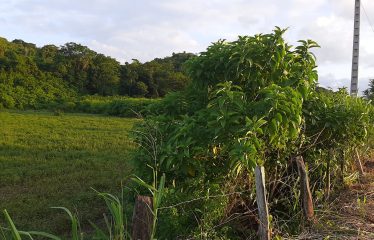 ¡GRAN OPORTUNIDAD! Lote de 14 hectáreas en venta 🌟 📍 Ubicación estratégica: