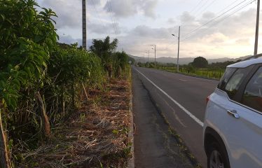 ¡GRAN OPORTUNIDAD! Lote de 14 hectáreas en venta 🌟 📍 Ubicación estratégica: