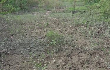 ¡Gran Terreno en Venta en Pinguapi, Esmeraldas! 🌴🏞️ 📍 Ubicación estratégica:A solo 5 minutos del centro de la ciudad y de la Playa Las Palmas Boulevard.