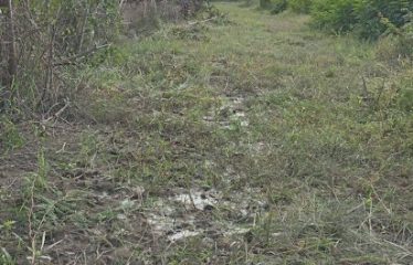 ¡Gran Terreno en Venta en Pinguapi, Esmeraldas! 🌴🏞️ 📍 Ubicación estratégica:A solo 5 minutos del centro de la ciudad y de la Playa Las Palmas Boulevard.