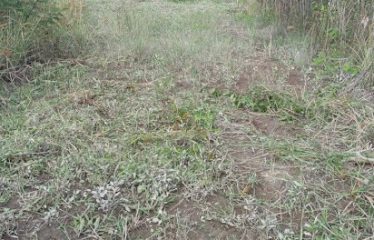 ¡Gran Terreno en Venta en Pinguapi, Esmeraldas! 🌴🏞️ 📍 Ubicación estratégica:A solo 5 minutos del centro de la ciudad y de la Playa Las Palmas Boulevard.