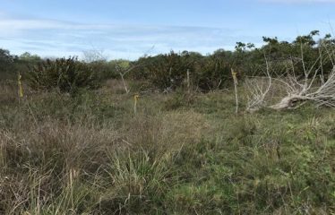 ¡Gran Terreno en Venta en Pinguapi, Esmeraldas! 🌴🏞️ 📍 Ubicación estratégica:A solo 5 minutos del centro de la ciudad y de la Playa Las Palmas Boulevard.