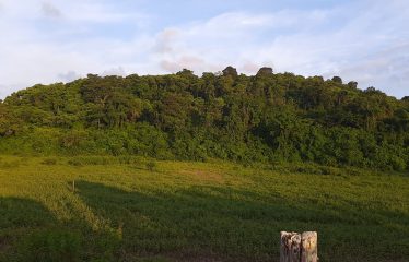 ¡GRAN OPORTUNIDAD! Lote de 14 hectáreas en venta 🌟 📍 Ubicación estratégica: