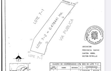 TERRENO INDUSTRIAL ALTO IMPACTO VENTA 4784 M2 Vía a Daule Guayaquil: US$ 70,oo negociable