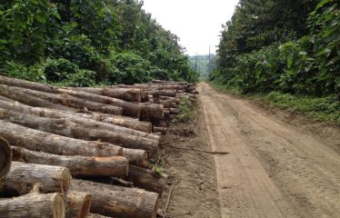 OPORTUNIDAD VENTA DE ISLA »»APROVECHE OFERTA»»»»»EN ESMERALDAS .. VENTA RAPIDA