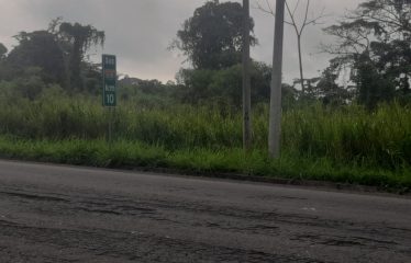 ¡Gran Oportunidad! Venta de Lotes de Terreno en la Vía Esmeraldas – Tonsupa 🌳🏡