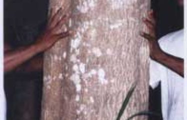 OPORTUNIDAD VENTA DE ISLA »»APROVECHE OFERTA»»»»»EN ESMERALDAS .. VENTA RAPIDA