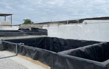 Laboratorio de larvas