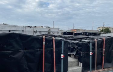 Laboratorio de larvas