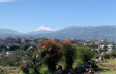 TERRENO EN VENTA – EL MEJOR LUGAR PARA VIVIR EN EL VALLE DE LOS CHILLOS (BETANIA)