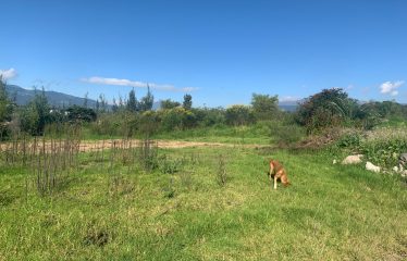 TERRENO EN VENTA – EL MEJOR LUGAR PARA VIVIR EN EL VALLE DE LOS CHILLOS (BETANIA)
