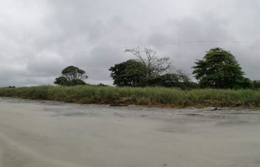 «¡Oportunidad única de arriendo en Las Palmas!