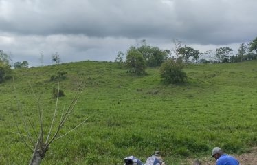 SE VENDE FINCA DE 120 HECTARIAS ACTA PARA GANADO