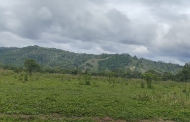 SE VENDE HACIENDA DE 120 HECTÁREAS EN RÍOVERDE – ESMERALDAS