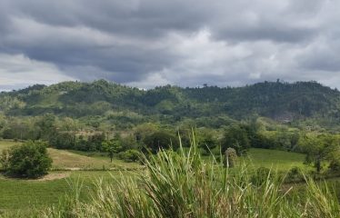 SE VENDE HACIENDA DE 120 HECTÁREAS EN RÍOVERDE – ESMERALDAS