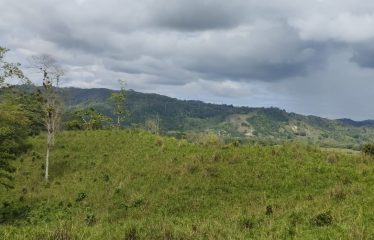 SE VENDE HACIENDA DE 120 HECTÁREAS EN RÍOVERDE – ESMERALDAS