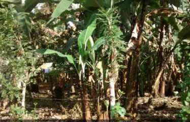 VENTA SOLAR URBANO CALUMA NUEVO