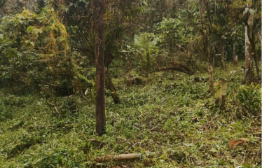 VENTA SOLAR URBANO CALUMA NUEVO