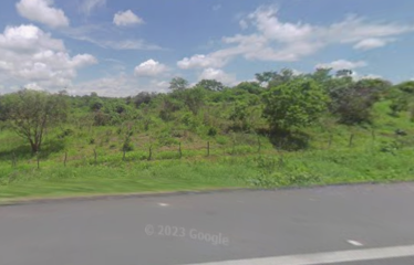 Se venden 1.000 hectáreas al pie de la carretera en la vía Guayaquil, Salinas, pasando Progreso.