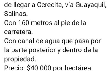 Se venden 253 hectáreas en la vía Guayaquil, Salinas, antes de llegar a Cerecita.