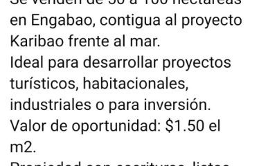 Se venden de oportunidad de 50 a 100 hectáreas en Engabao, contigua al proyecto Karibao.