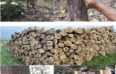 Se vende hacienda de 395 hectáreas vía Balzar-Olmedo.