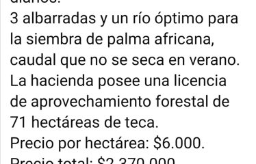 Se vende hacienda de 395 hectáreas vía Balzar-Olmedo.